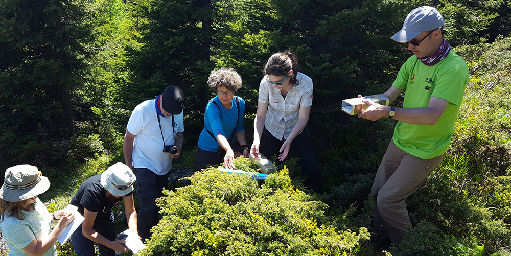 Installation de pièges à encre pour le suivi des micromammifères avec des volontaires CREA Mont-Blanc © CREA Mont-Blanc Installation de pièges à encre pour le suivi des micromammifères avec des volontaires CREA Mont-Blanc © CREA Mont-Blanc