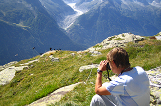 Observation de chocards à bec jaune © CREA Mont-Blanc Observation de chocards à bec jaune © CREA Mont-Blanc