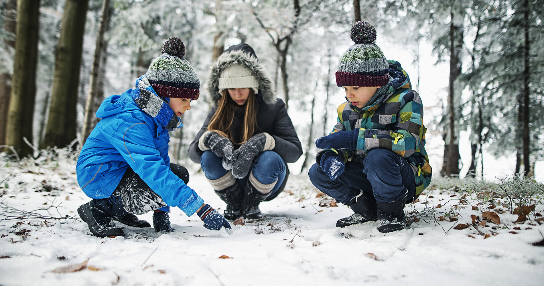 Enfants étudiant des traces dans la neige