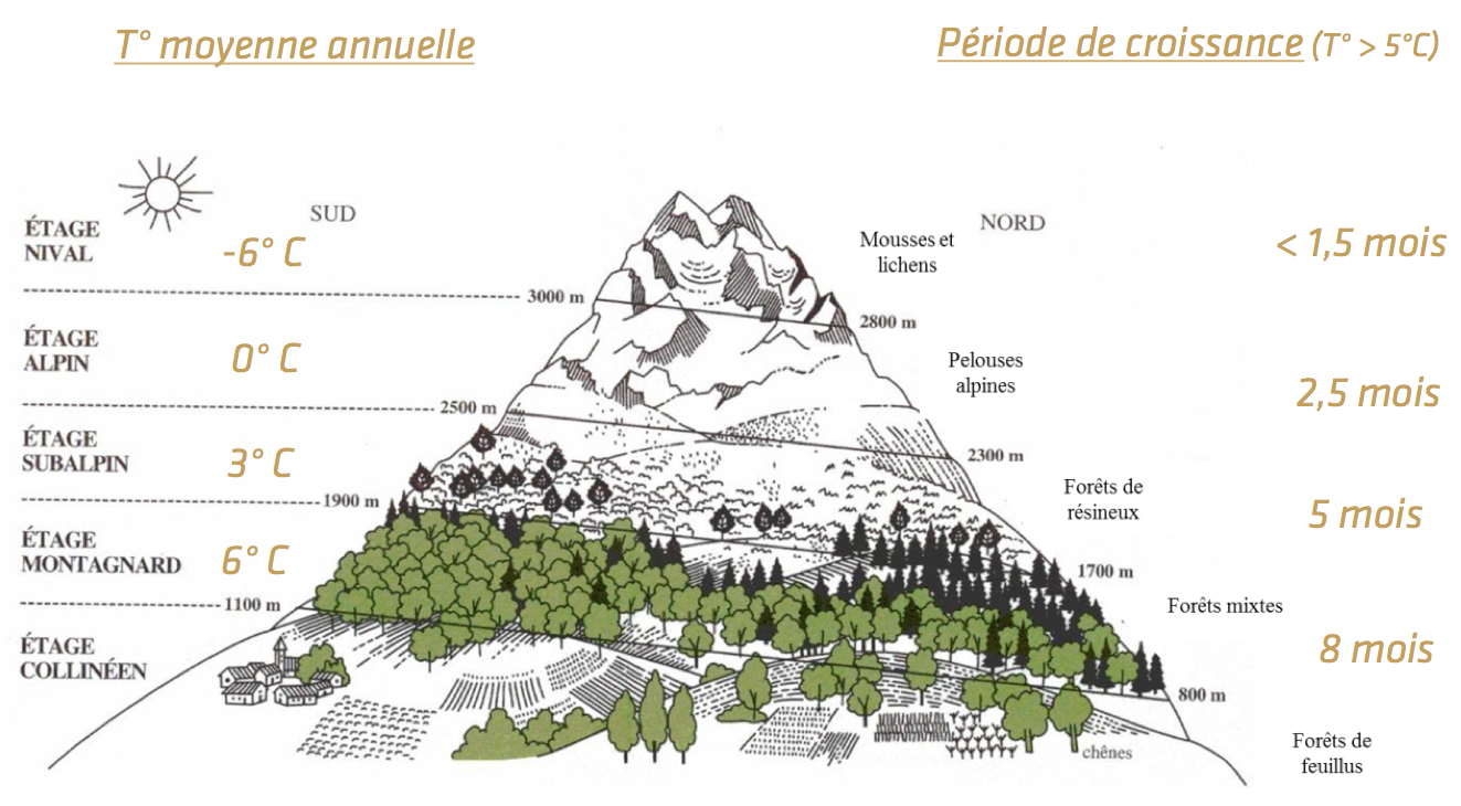 Frontiers  The Snowline and 0°C Isotherm Altitudes During