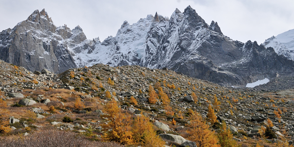 The Mont Blanc massif in autumn