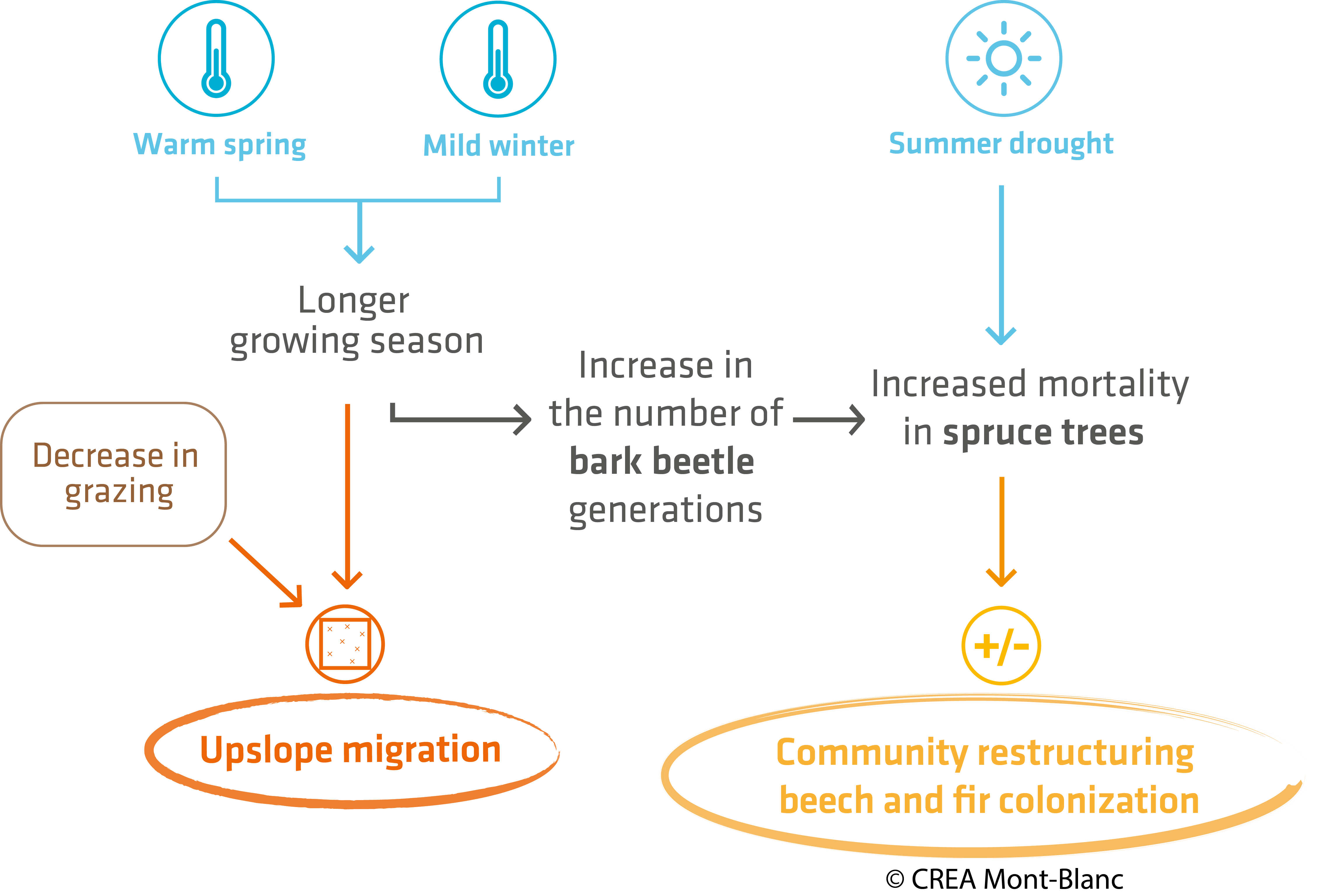 Climate change and its impacts in the Alps