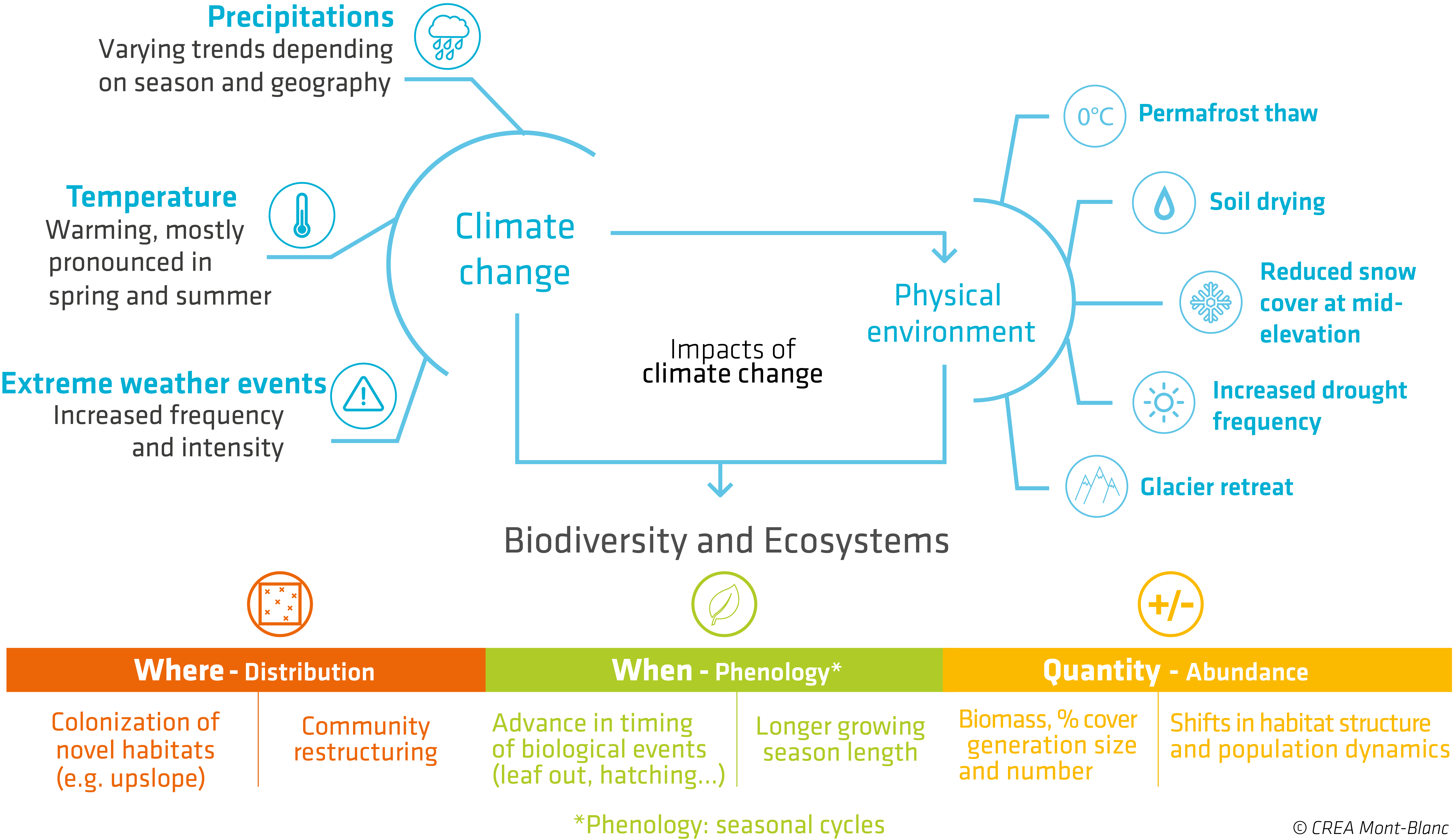 schema_global_impact_cc_biodiv_creamontblanc_en.png