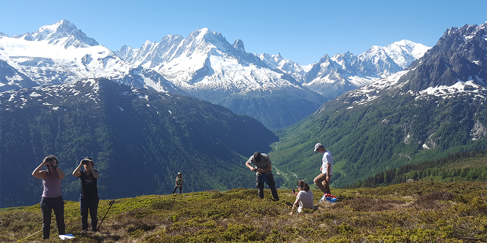 Volunteers in action at the Loriaz long-term monitoring site