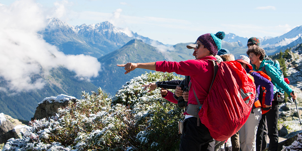 Séjour de volontariat scientifique du CREA Mont-Blanc, juin 2017 © S.Guillot Séjour de volontariat scientifique du CREA Mont-Blanc, juin 2017 © S.Guillot