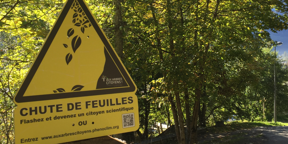aux_arbres_citoyens_creamontblanc.png aux_arbres_citoyens_creamontblanc.png